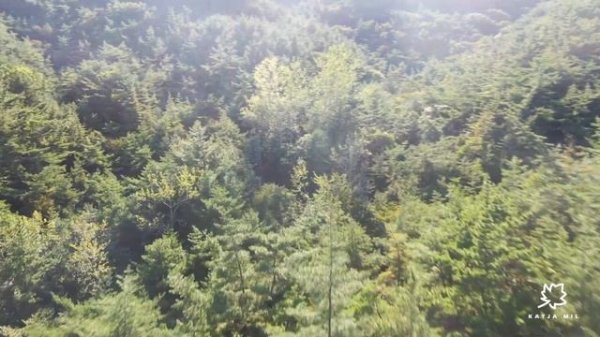 Апрель (пианино) / April (piano)