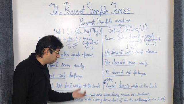 The Present Simple/Indefinite Tense - Concepts and usage смотреть онлайн