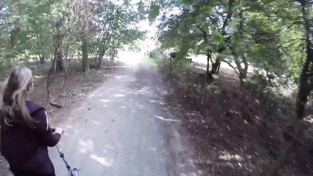 Micro Scooter Black Flex - Easy Off Road смотреть онлайн