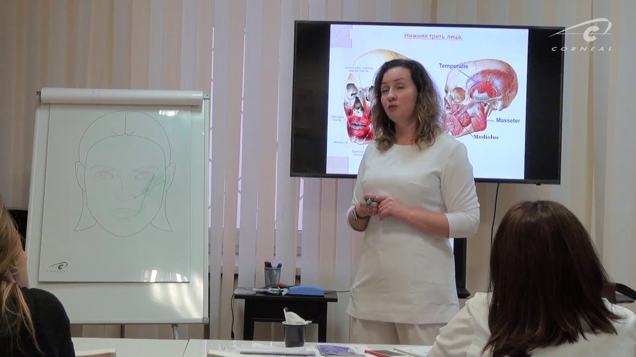 Теоретическая часть семинара по контурной пластике, врач-тренер Мария Шашкина смотреть онлайн