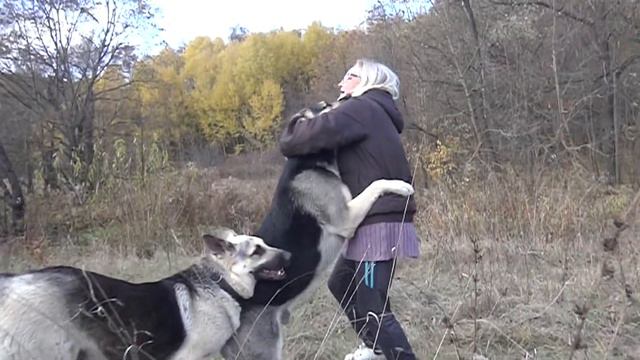 ВЕО прогулка смотреть онлайн