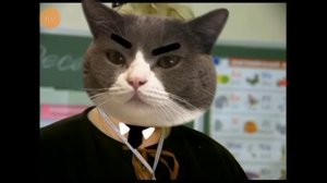 дую спик инглиш RYTP.Сори пока что я не умею делать профессиональный RYTP.