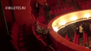 Театр им. Маяковского, зрительный зал