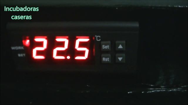 Proceso de incubación de huevos de gallina. смотреть онлайн