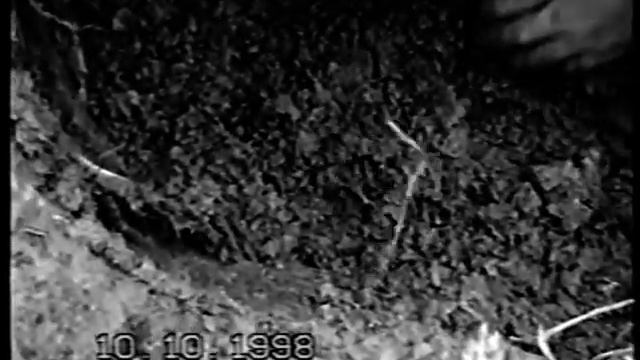 Богородицкое 1998 год смотреть онлайн