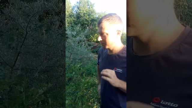 Крыжовник смотреть онлайн