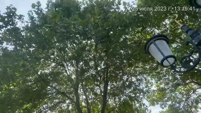 Парк возле Мечети "СЕРДЦЕ ЧЕЧНИ" в Грозном (версия с музыкой) смотреть онлайн