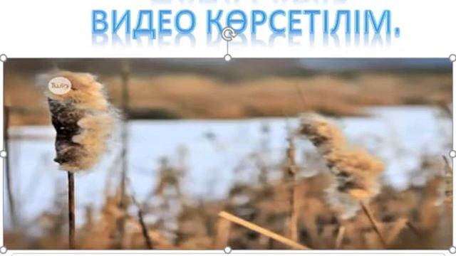 Өсімдіктердің жынысты және жыныссыз көбеюі 7 сынып смотреть онлайн