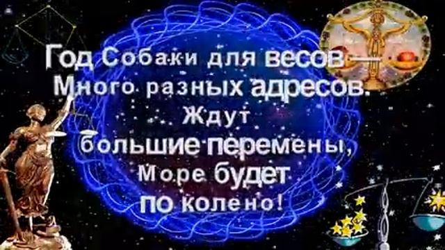 14 декабря 2017 г. смотреть онлайн