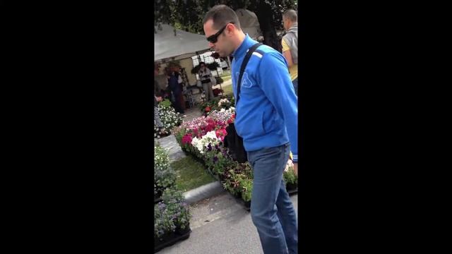 выставка цветов в Marina Di Pietrasanta смотреть онлайн