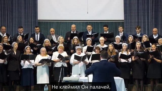 Вдоль по Виа Долороса смотреть онлайн