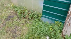 Аккумуляторный триммер ЗУБР ТАБ-365-22. Краткий обзор и тест