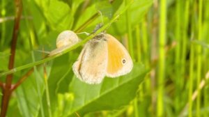 Музыка для души!Безумно Вдохновляющая и Бесконечно Красивая Музыка! Сергей Грищук