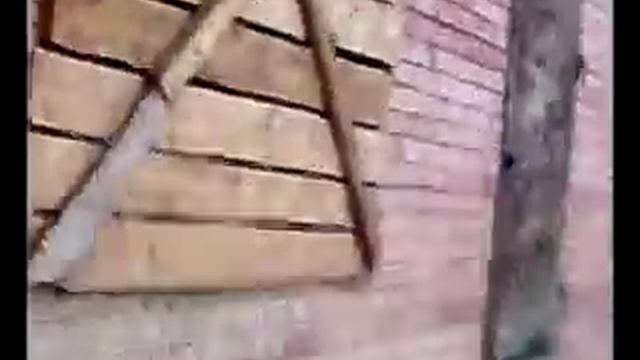 достопримечательность гаврилов яма смотреть онлайн