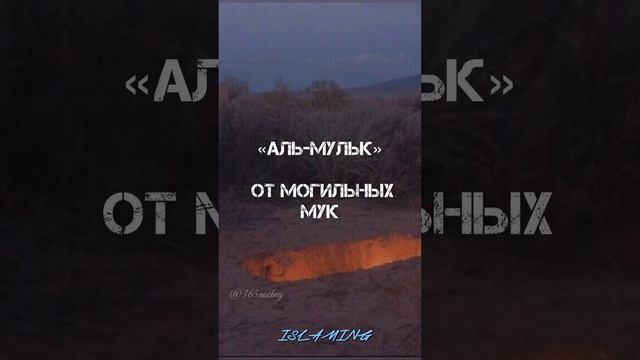 10 СУР КОТОРЫЕ ТЫ ОБЯЗАН ЗНАТЬ! #намаз #аят #дуа #ислам #суры#коран#дуния#Аллах#Мухьаммад#умма смотреть онлайн