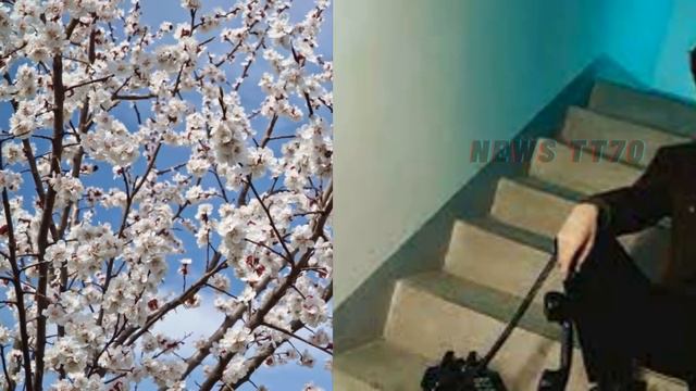 【NEWS TT7002月03日】杨紫二月开工生图，精致减龄又利落。肖战继续海外获封最佳男主！肖战深陷风波 смотреть онлайн