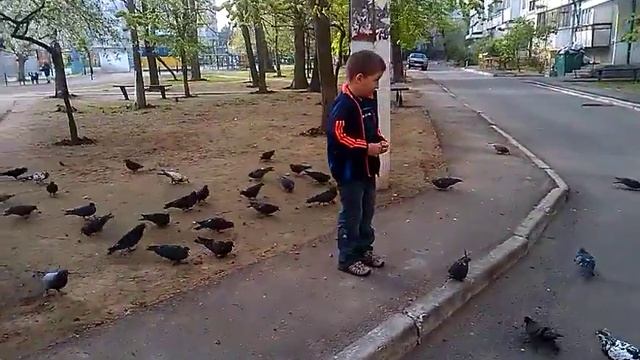 Время кормить голубей смотреть онлайн