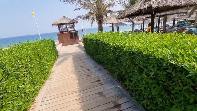 Le Meridien Fujairah | Мечта или разочарование? смотреть онлайн