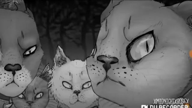 Коты воители под песню:Егор Крид ~КРУТОЙ~ смотреть онлайн