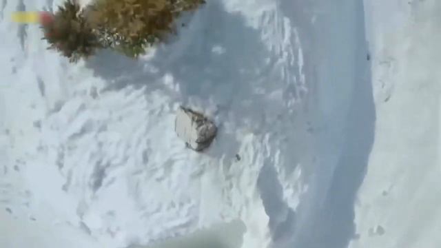 Pro Подборка Невероятные люди 80 лвл ⁄⁄ People Are Awesome 2016 Best HUMANS In The World смотреть онлайн