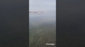 Лодочный мотор Hidea HD 5 FHS обзор обкатка