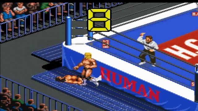 Super Fire Pro Wrestling X Premium Sims - Riki Chosyu vs Hulk Hogan смотреть онлайн