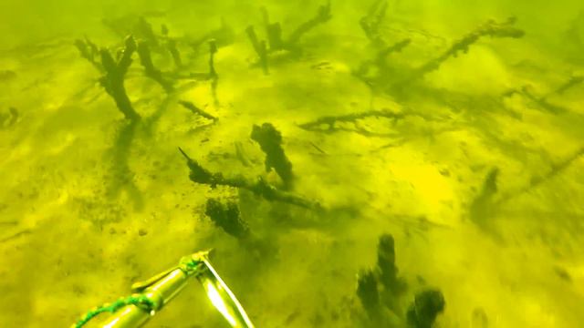 подводная охота.поляна судаков смотреть онлайн