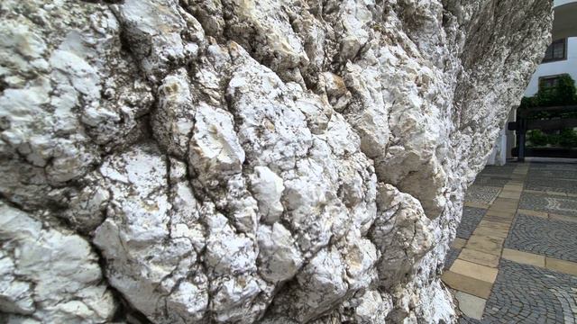 Flowers (HDR10+) 4K Sample Footage Video HDR10 Plus