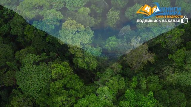 Самые мудрые христианские размышления о любви, душе и жизни. Симона Вейль «Любовь к Богу 2» смотреть онлайн