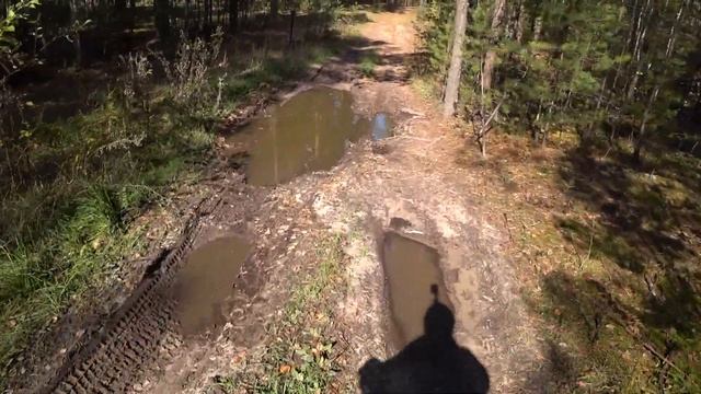 Поездка осенью на дачу смотреть онлайн