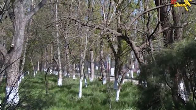 Новости Выездной рейд и.о. Главы администрации г.Махачкалы смотреть онлайн