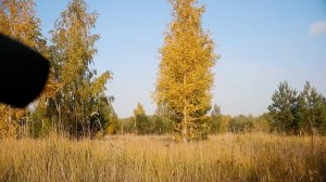 АСМР МУКБАНГ ? ИРП СУХОЙ ПАЁК АРМИИ РОССИИ 2 часть