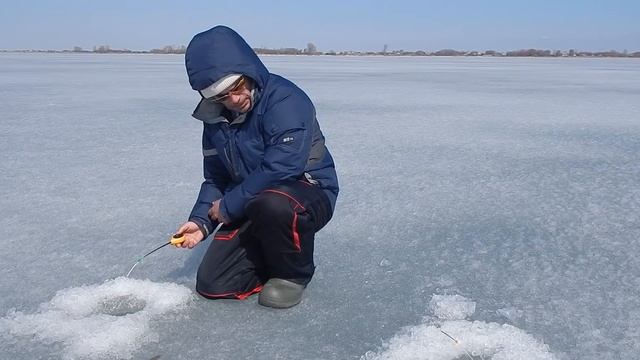 На АЛТАЕ клюет ПЛОТВА размером с СЕЛЕДКУ! Вот это сюрприз! смотреть онлайн