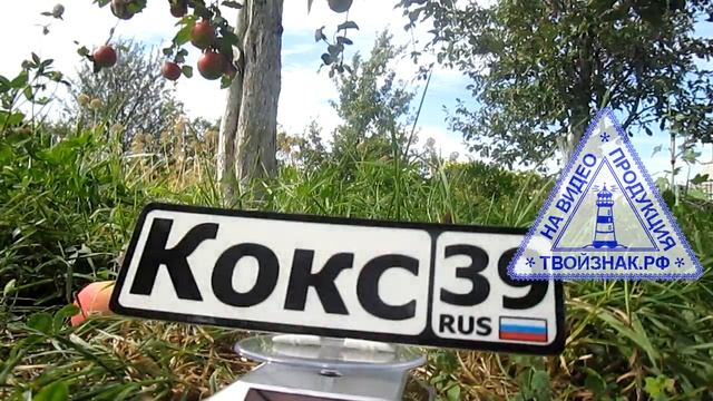 номер на коляску - ТВОЙЗНАК.РФ смотреть онлайн