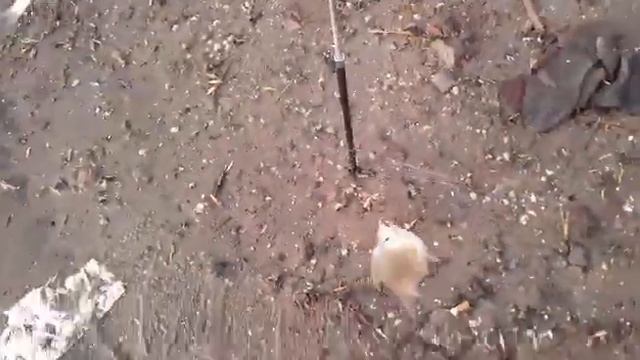 снова река кигач рыбалка смотреть онлайн