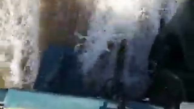 Прогресс 4 Сузуки 50 4 такта и транцевые плиты, проверяем комплект. смотреть онлайн