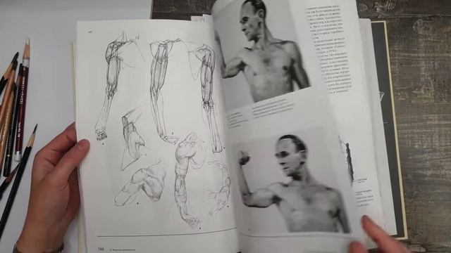Анатомия для художников. Готтфрид Баммес. Обзор учебника. смотреть онлайн