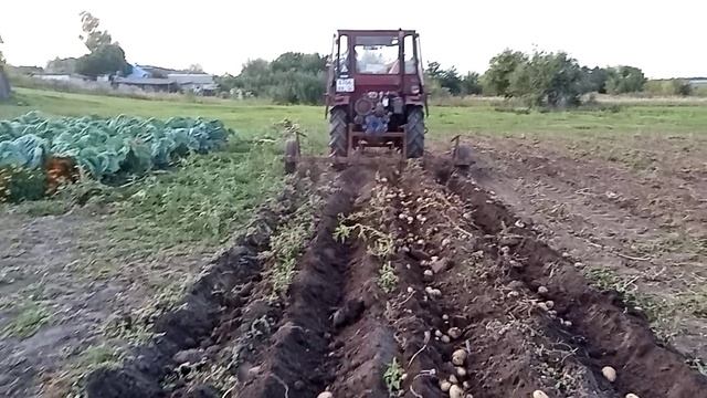 Т16 в работе.