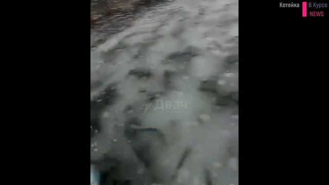 Жители Сахалина начали ловить сельдь руками смотреть онлайн