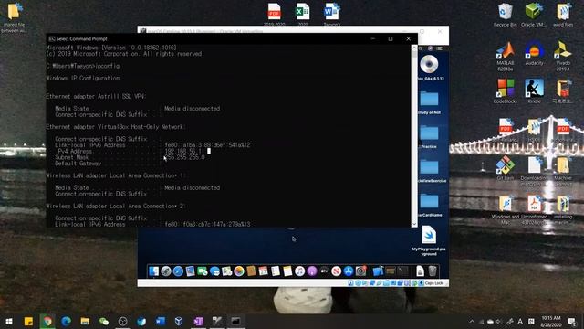 How to share files between windows and mac OS (running in virtual machine) смотреть онлайн