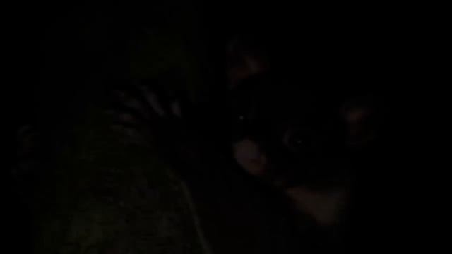 The Secret Of Dreaming: An Australian Aboriginal Myth Of Creation