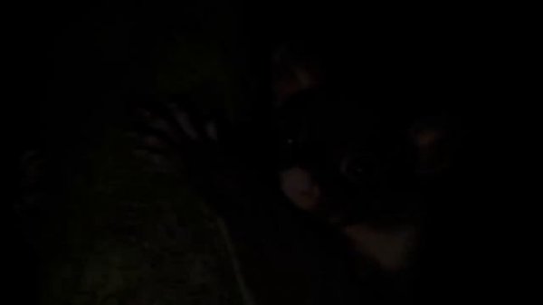 The Secret of Dreaming: An Australian Aboriginal Myth of Creation