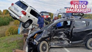 Слепошарые Торопыги и Водятлы! Осенний сезон