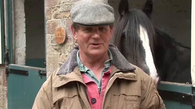 Discussing War Horse with Michael Morpurgo смотреть онлайн