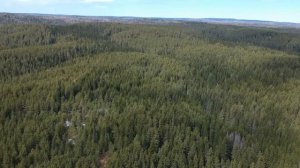 окрестности Свердловской области, город Михайловск