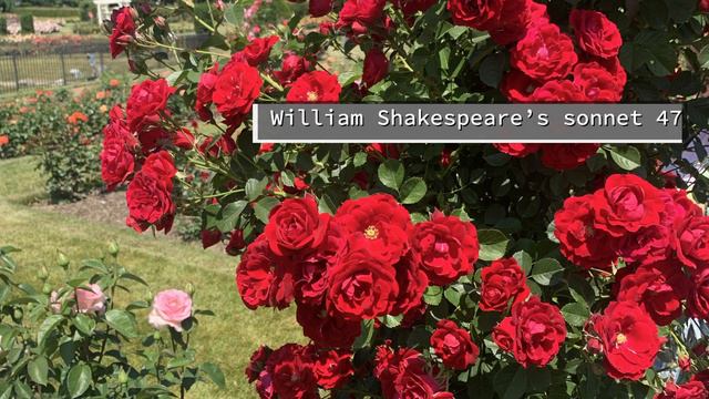 William Shakespeare’s sonnet 47