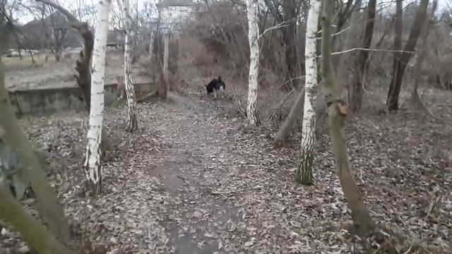 Славянск. 28 декабря 2022г. Вечер смотреть онлайн