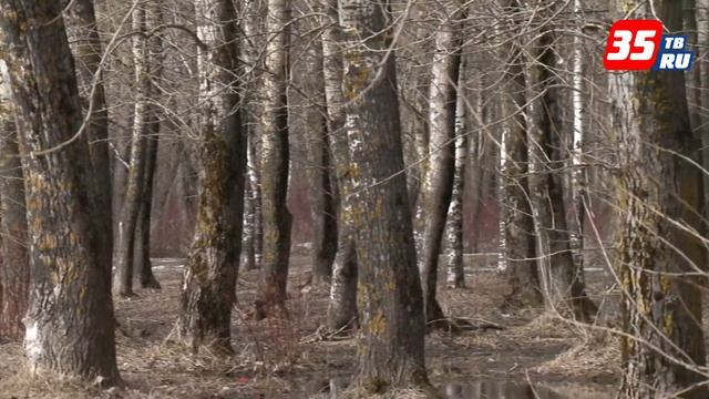 Экологическая акция, покорившая всю Россию, теперь и в Череповце смотреть онлайн
