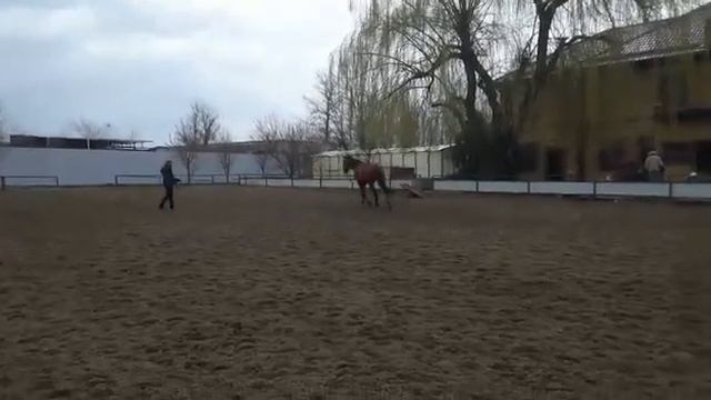 Дина 27.03 2018 (1) смотреть онлайн