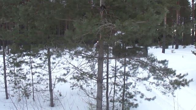 M4H06250 смотреть онлайн